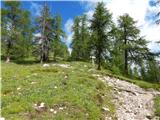 Lech da Sompunt - Rifugio Puez / Puez Hütte